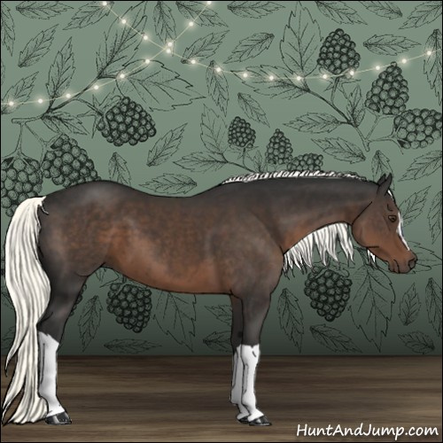 Horse Color:Liver Chestnut Mushroom 