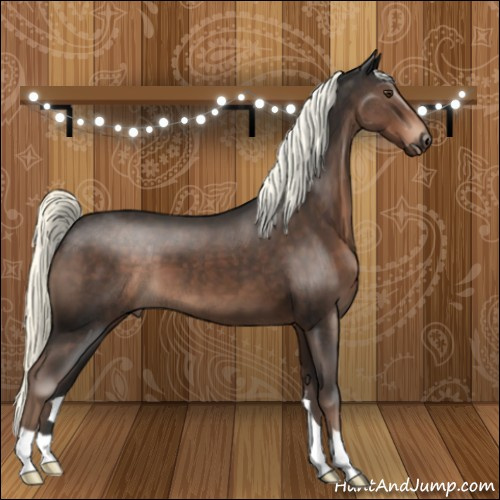 Horse Color:Liver Chestnut Mushroom 