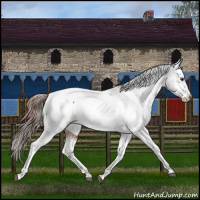 Horse Color:Liver Chestnut Tobiano Appaloosa