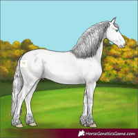 Horse Color:Cremello 