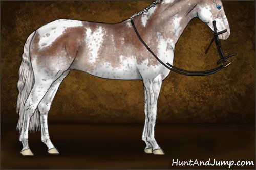 Horse Color:Silver Brown Splash Tobiano Rabicano