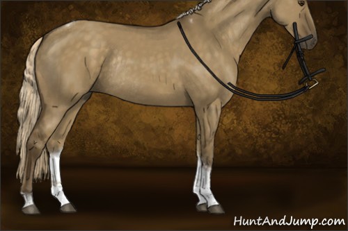 Horse Color:Chocolate Palomino Dun Sabino Tobiano Rabicano