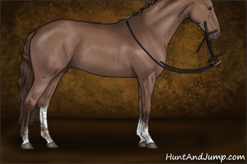 Horse Color:Liver Chestnut Tobiano Rabicano