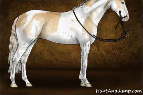 Horse Color:Chocolate Palomino Splash Tobiano Rabicano 