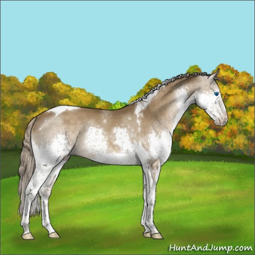 Horse Color:Chocolate Palomino Splash Tobiano Rabicano