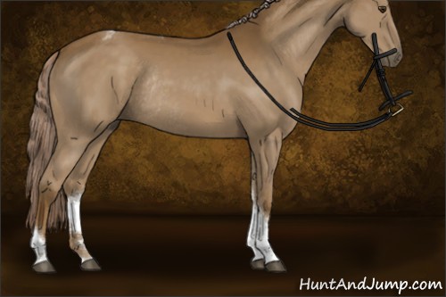 Horse Color:Chocolate Palomino Sabino Tobiano Rabicano 