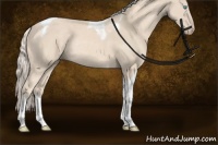 Horse Color:Cremello Sabino Tobiano Rabicano