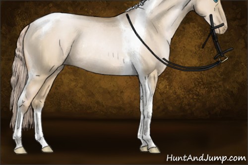 Horse Color:Chocolate Palomino Pearl Dun Tobiano Rabicano