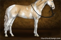 Horse Color:Chocolate Palomino Splash Tobiano Rabicano