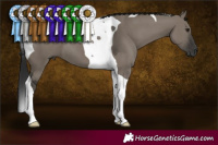 Horse Color:Gray Grullo Tobiano 