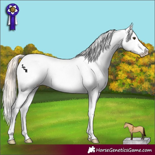 Horse Color:White Spotted Chocolate Palomino Dun Near Leopard 