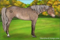 Horse Color:Chocolate Palomino Sabino  and Silver Brown Roan Sabino 
