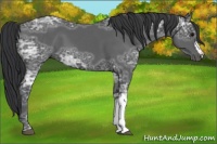 Horse Color:Black Ice 
