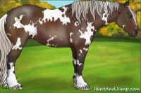 Horse Color:White Spotted Silver Brown