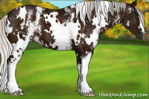 Horse Color:White Spotted Silver Brown Ice 