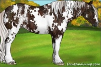 Horse Color:White Spotted Silver Brown Ice 