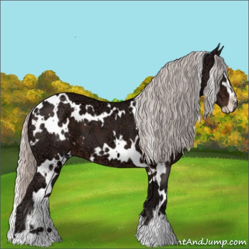 Horse Color:White Spotted Silver Brown Ice Sabino 