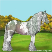 Horse Color:Watercolor White Spotted Silver Brown Tobiano 