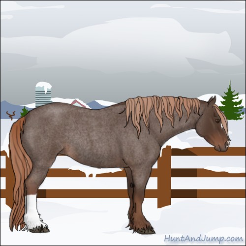 Horse Color:Liver Red Roan Rabicano 