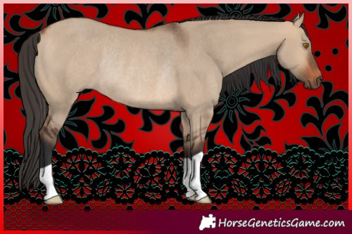 Horse Color:Bay Dun Rabicano 