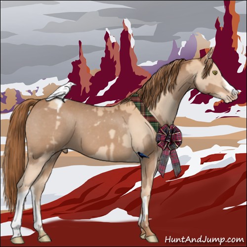 Horse Color:Gold Champagne Blanket and Chestnut Varnish