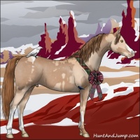 Horse Color:Gold Champagne Blanket  and Chestnut Varnish 