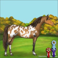 Horse Color:Buckskin Roan Blanket 