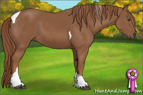 Horse Color:Chestnut Tobiano