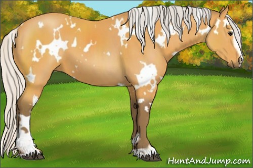 Horse Color:White Spotted Silver Buckskin Sabino