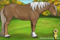 Horse Color:Chocolate Palomino Tobiano 