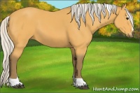 Horse Color:Silver Buckskin Sabino Tobiano
