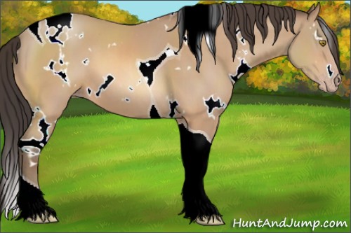 Horse Color:White Spotted Amber Champagne Tobiano 