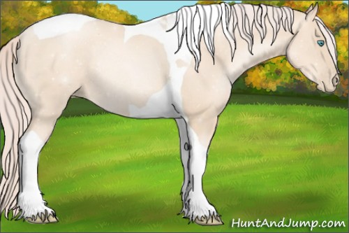 Horse Color:Gold Cream Champagne Pearl Tobiano Rabicano 