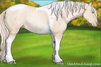 Horse Color:Gold Cream Champagne Pearl Tobiano Rabicano