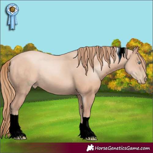 Horse Color:ERROR: UNKNOWN ANOMALY