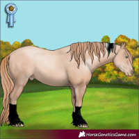 Horse Color:ERROR: UNKNOWN ANOMALY