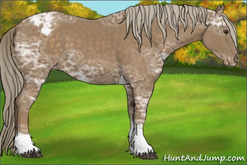 Horse Color:Chocolate Palomino Ice Tobiano Appaloosa 