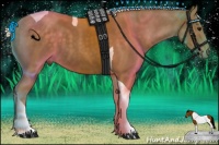 Horse Color:Silver Smoky Black Tobiano 