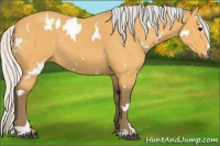 Horse Color:White Spotted Silver Buckskin Sabino