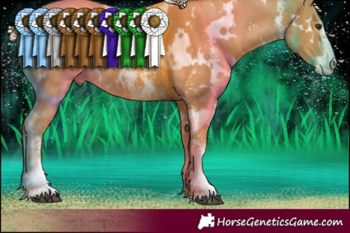 Horse Color:White Spotted Palomino Sabino 