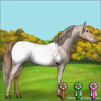 Horse Color:Chestnut Snowcap