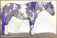 Horse Color:Watercolor White Spotted Bay 