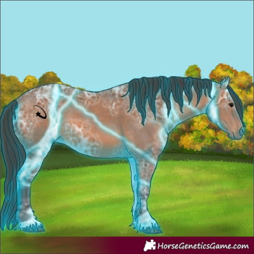 Horse Color:Thunderstruck Bay Ice 