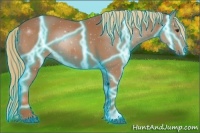Horse Color:Thunderstruck Chestnut