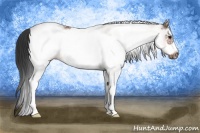 Horse Color:White Spotted Bay Roan Frame