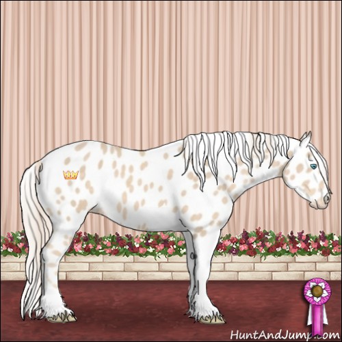 Horse Color:Cremello Tobiano Leopard 