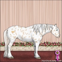 Horse Color:Cremello Tobiano Leopard 