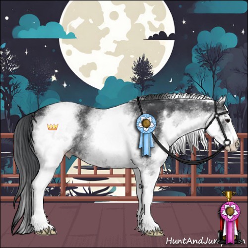 Horse Color:White Spotted Black Rabicano 