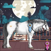 Horse Color:White Spotted Black Rabicano 