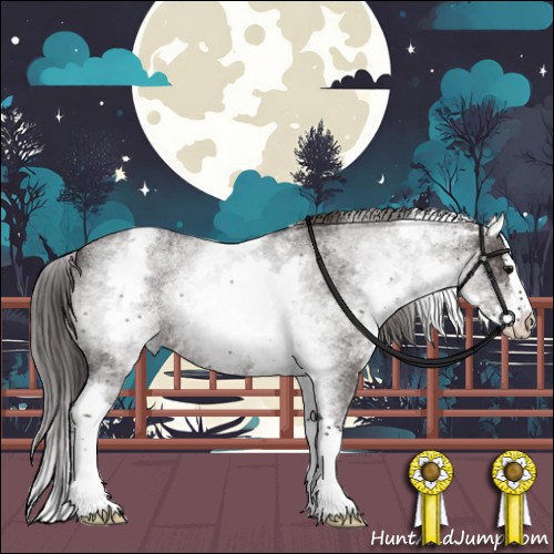 Horse Color:White Spotted Smoky Blue Roan Splash Rabicano 